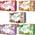 5er Set Mochi Selection von yoaxia