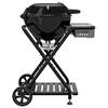 Ambri 480 G Evo von Outdoorchef
