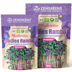 Zengreens Bio Radieschen Sprossen Samen