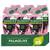Palmolive Thermal Spa Silky Oil Duschgel