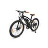 E-Racing Mountain Bike R6 NEO II V2 von SachsenRAD