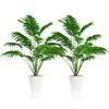 Künstliche Areca Palme von SAJANDAS