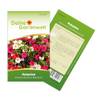 Petunien-Samen von Deine Gartenwelt