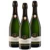 Riesling Sekt brut von Oberkircher Winzer