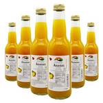 Bleichhof Ananassaft