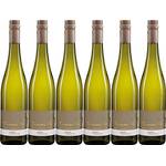 Weingut Thomas-Rüb Bacchus