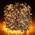 LED Lichterkette 1000  Outdoor von elktry