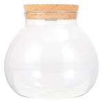 Balacoo Terrarium
