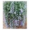 Blue Cascade von BALDUR Garten