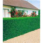 Baldur Garten H-2362