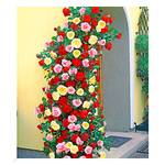 Baldur-Garten ‎H-3905