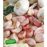 Baldur Garten H-9997