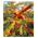 Sanddorn Busch Orange Energy von BALDUR Garten