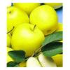 Säulen-Apfel Golden Delicious von BALDUR Garten