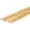 15er-Set Bambusrohre Tonkin von bambus-discount.com