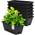 Blumenkasten von Bamworld