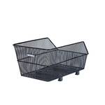 Basil Cento WSL