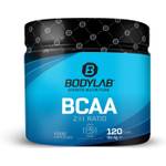 Bodylab24 4942