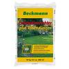 Plus von Beckmann