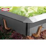 Bellissa Schneckenblech-Set