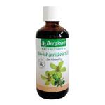 Bergland Bio-Johanniskraut-Öl