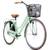 Bergsteiger Amsterdam Damenfahrrad