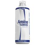 Best Body Nutrition Amino Liquid 5000