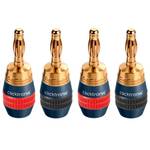 Clicktronic Bananenstecker SimpleLock 52546