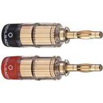 Oehlbach Solution Banana