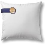 Bestlivings Kopfkissen