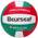 Volleyball von Beurseaf
