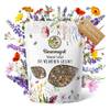 Wildblumensamen von Bienenmagnet