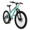 BI-24-MH-EO-MTPK von BIKESTAR