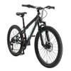 BI-24-MH-EO-BKPL von BIKESTAR