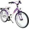 Star Trademarks_BI-20-KK-01-LCWE von BIKESTAR