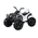 Kinder Elektro Quad Offroad von Actionbikes Motors