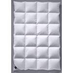 Billerbeck Daunendecke E03 Colina Kassette II