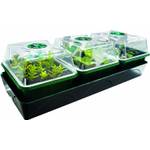 Bio Green HOL 3