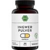Bio Ingwer Kapseln von bioKontor