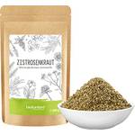 Biokontor Zistrosenkraut