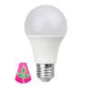 GoLeaf LED Pflanzenlampe von Bioledex