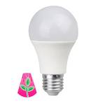 Bioledex GoLeaf LED Pflanzenlampe