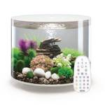 Biorb Rundes Aquarium