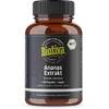 Ananas Extrakt von Biotiva