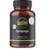 Vitalpilze von Biotiva