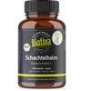 Schachtelhalmkraut von Biotiva