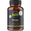 Shiitake Kapseln Bio von Biotiva
