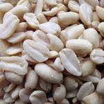 Bird's Garden Erdnusskerne