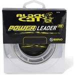 Black Cat 2342080