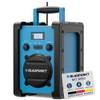 BSR 30 von Blaupunkt